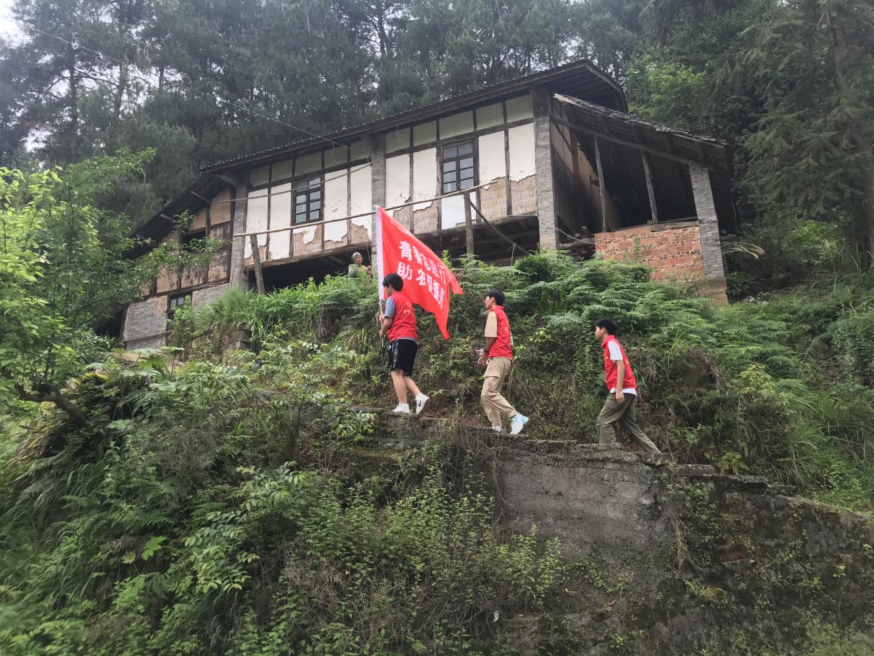 2：志愿队行走在乡间2